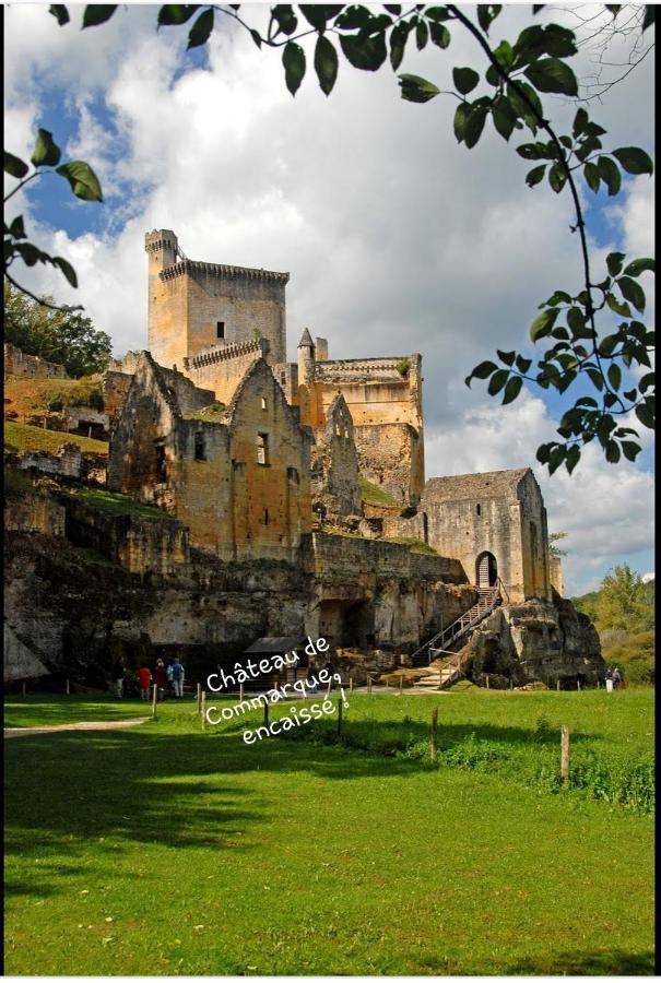 Вилла Chateau De L Herm, Lascaux, Sarlat, En Perigord Noir Руффиньяк-Сен-Сернен Экстерьер фото
