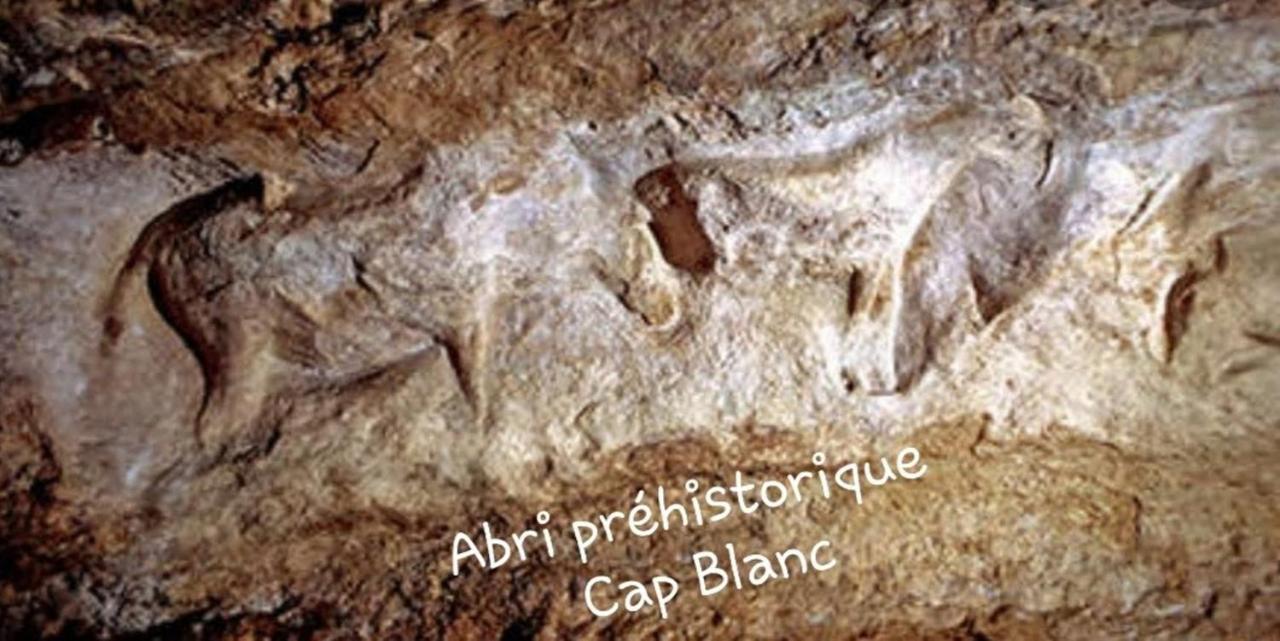 Вилла Chateau De L Herm, Lascaux, Sarlat, En Perigord Noir Руффиньяк-Сен-Сернен Экстерьер фото